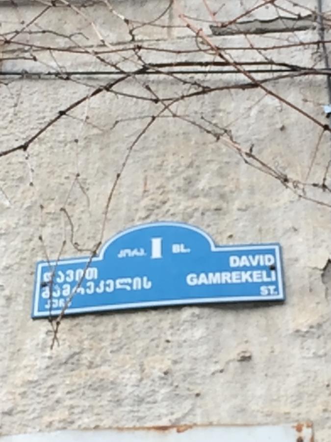 Vip Apartment At Gamrekeli Str 1 트빌리시 외부 사진